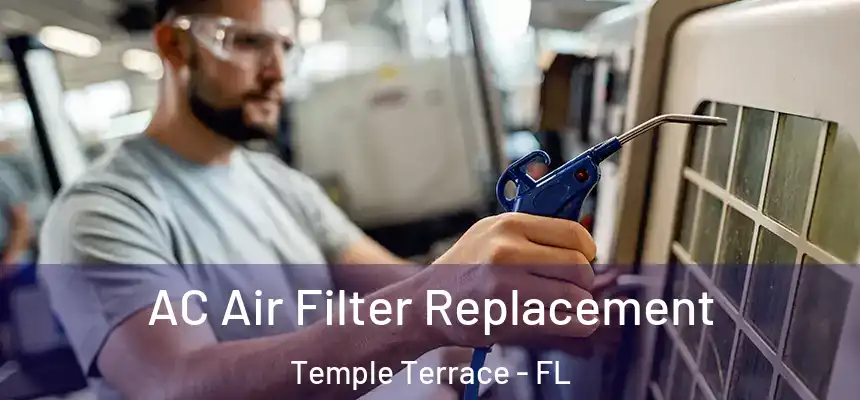  AC Air Filter Replacement Temple Terrace - FL