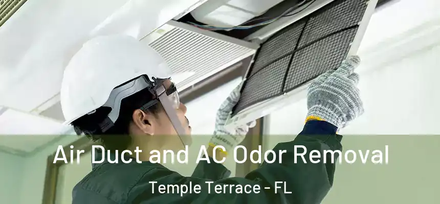  Air Duct and AC Odor Removal Temple Terrace - FL