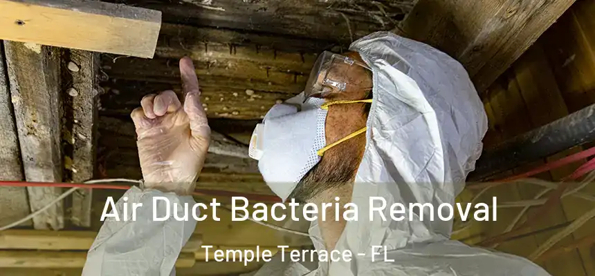 Air Duct Bacteria Removal Temple Terrace - FL