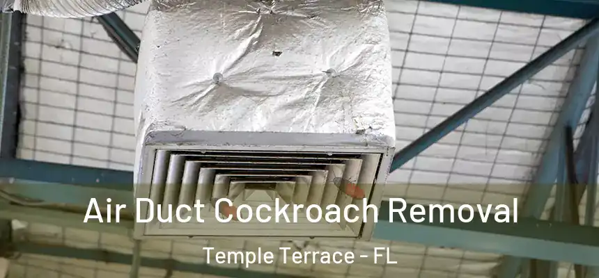  Air Duct Cockroach Removal Temple Terrace - FL
