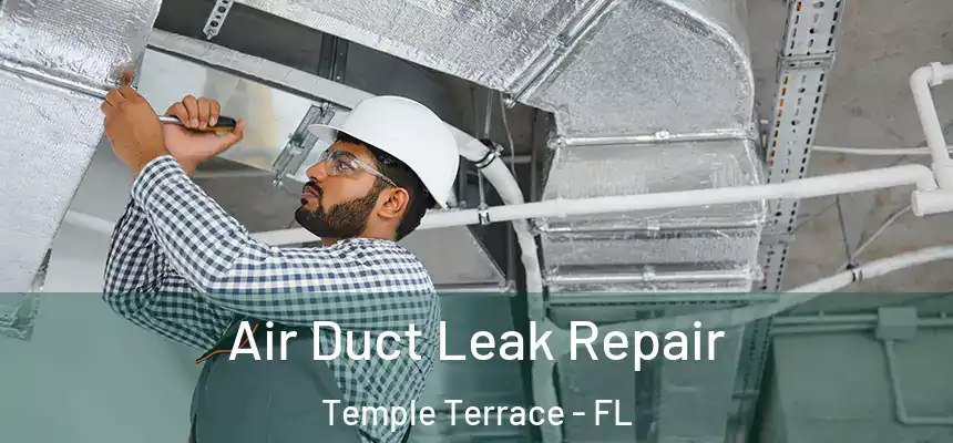  Air Duct Leak Repair Temple Terrace - FL