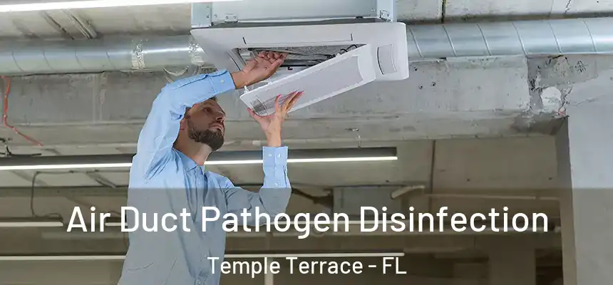  Air Duct Pathogen Disinfection Temple Terrace - FL