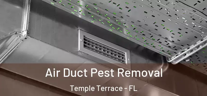  Air Duct Pest Removal Temple Terrace - FL