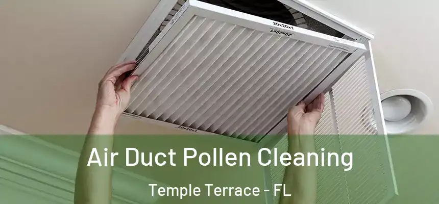 Air Duct Pollen Cleaning Temple Terrace - FL