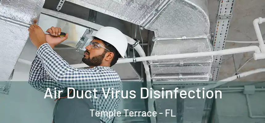 Air Duct Virus Disinfection Temple Terrace - FL