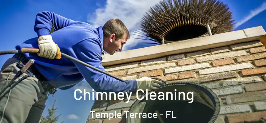 Chimney Cleaning Temple Terrace - FL