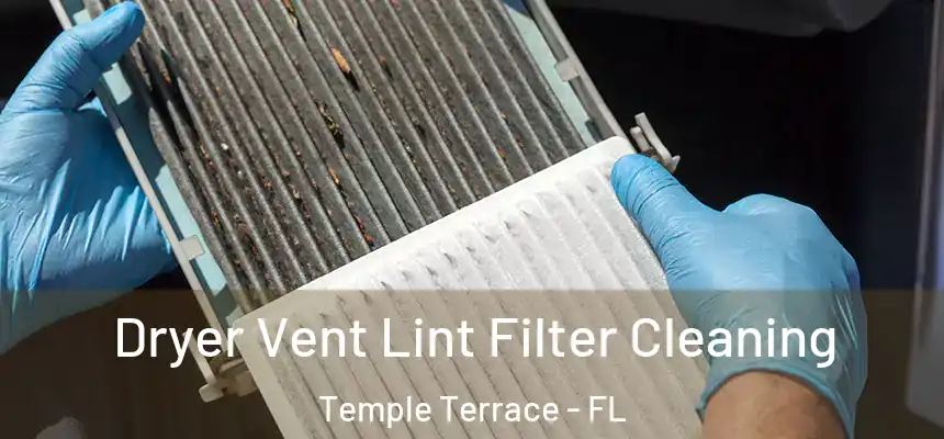  Dryer Vent Lint Filter Cleaning Temple Terrace - FL