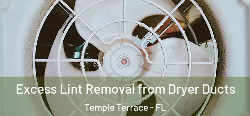  Excess Lint Removal from Dryer Ducts Temple Terrace - FL