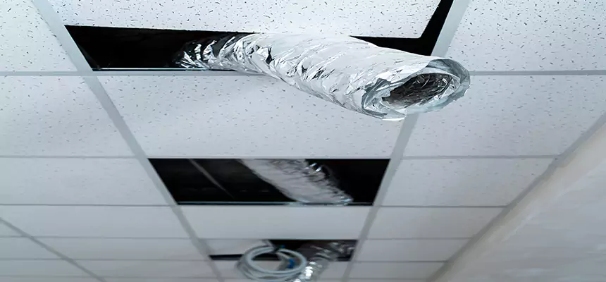 Our Air Duct Pet Hair Removal Services in Temple Terrace, FL