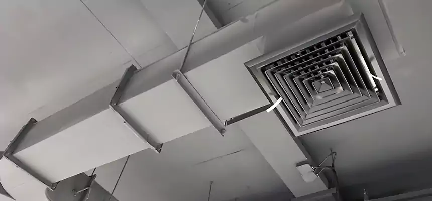 Restorative Allergy Relief Vent Cleaning – Coil, Blower & Housing Detail in Temple Terrace