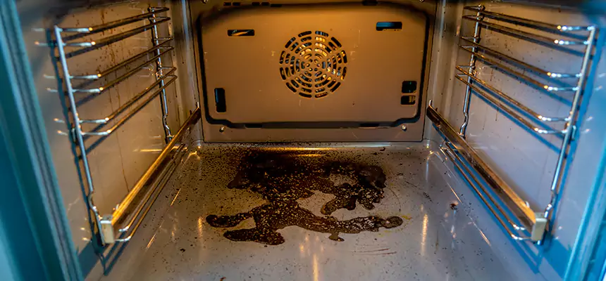 Our Dryer Vent Mold Cleaning Services in Temple Terrace, FL