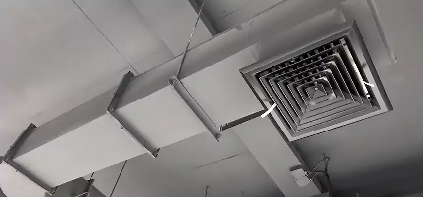 Our Pest Removal From Ducts Services in Temple Terrace, FL