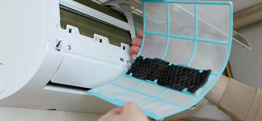 Gentle Ductwork Odor-Control Pet Dander Duct Cleaning in Temple Terrace, FL