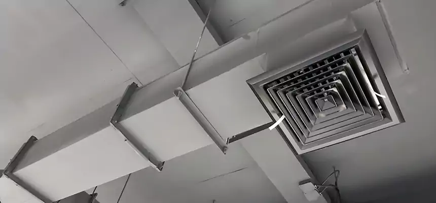 Our Rodent Droppings In Vents Services in Temple Terrace, FL