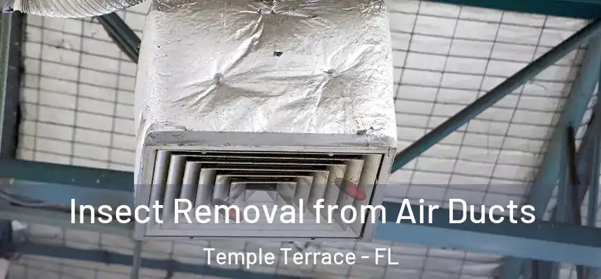  Insect Removal from Air Ducts Temple Terrace - FL