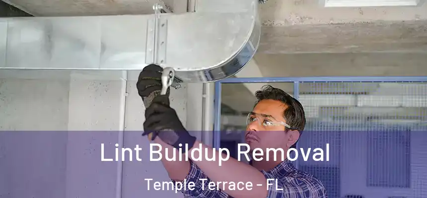  Lint Buildup Removal Temple Terrace - FL