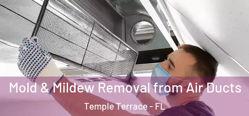  Mold & Mildew Removal from Air Ducts Temple Terrace - FL