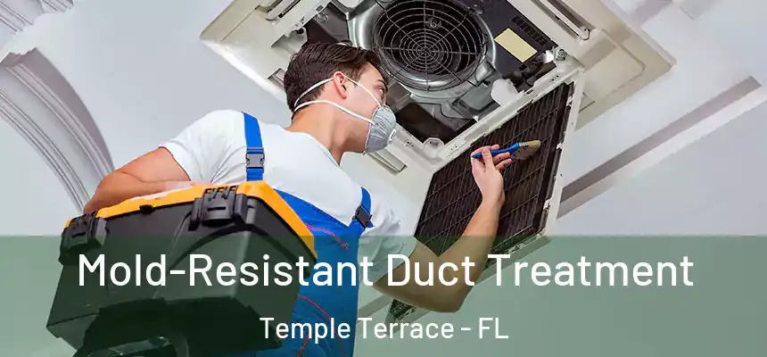  Mold-Resistant Duct Treatment Temple Terrace - FL