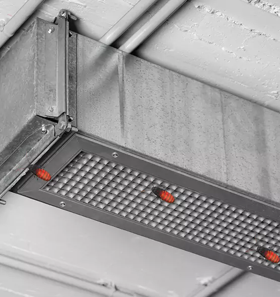About Air Duct Cockroach Removal in Temple Terrace, FL