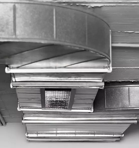 Professional Air Duct Pest Removal in Temple Terrace, FL