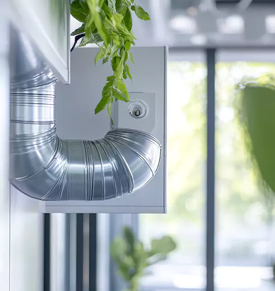 Professional Eco-Friendly Duct Cleaning Services in Temple Terrace, FL