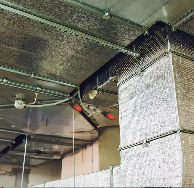 Why Homeowners & Businesses Trust Us in Temple Terrace, FL?