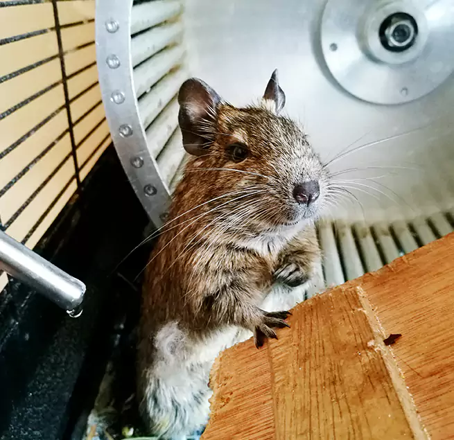 Why Homeowners & Businesses Trust Us Temple Terrace, FL?