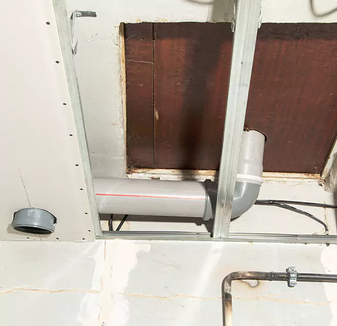 Why Homeowners & Businesses Trust Us in Temple Terrace, FL?