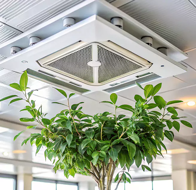 Why Homeowners & Businesses Trust Us in Temple Terrace, FL