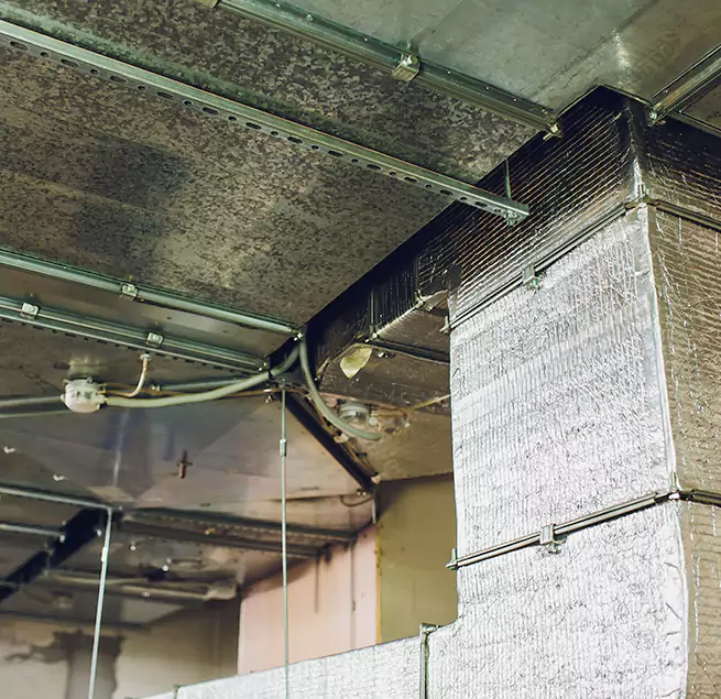 Why Homeowners & Businesses Trust Us in Temple Terrace, FL?