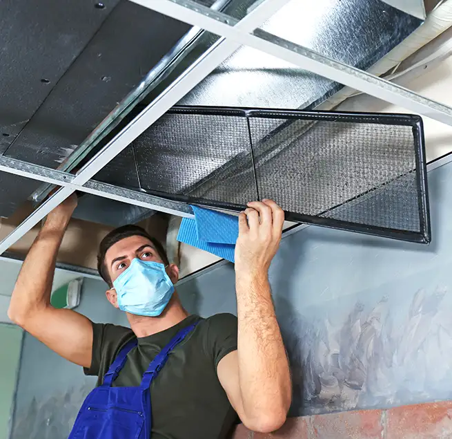 Why Homeowners & Businesses Trust Us in Temple Terrace, FL?