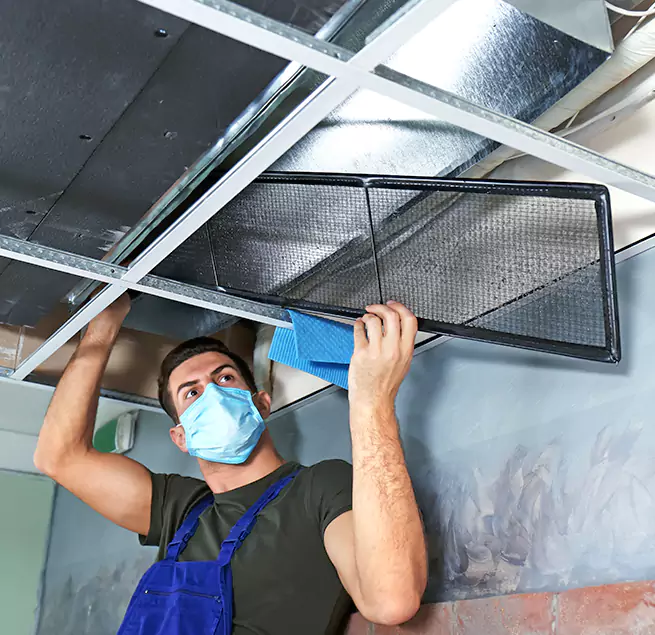  Why Homeowners Businesses Trust Us  in Temple Terrace, FL?