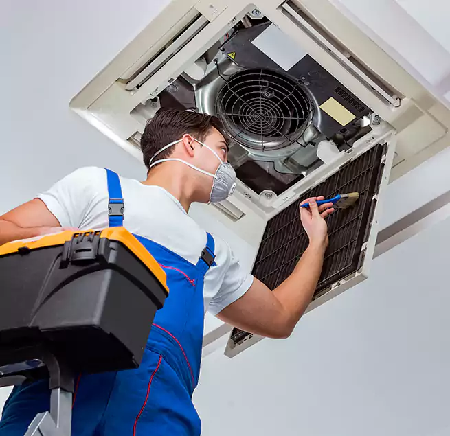 Why Homeowners & Businesses Trust Us in Temple Terrace, FL?